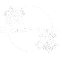 Our new site is coming soon